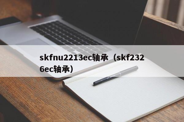 skfnu2213ec轴承（skf2326ec轴承）